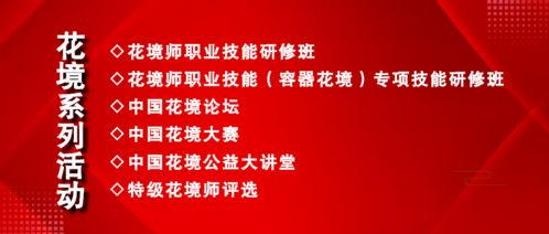 网